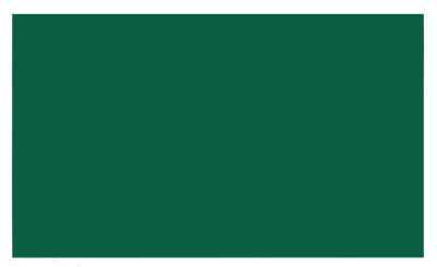 ERGOMAT - DSX-STRIP-2*4-G-KIT - DuraStripe Xtreme KIT Franjas rectángulo (verde) - imagen 1