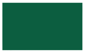 ERGOMAT - DSX-STRIP-2*4-G-KIT - DuraStripe Xtreme KIT Franjas rectángulo (verde) - imagen 1